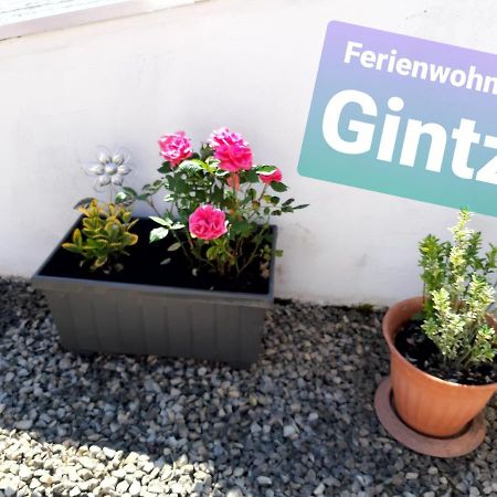 Ferienwohnung Haus Gintz Blieskastel Exterior foto